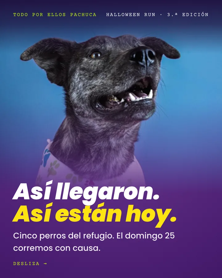 Visita a los refugios
