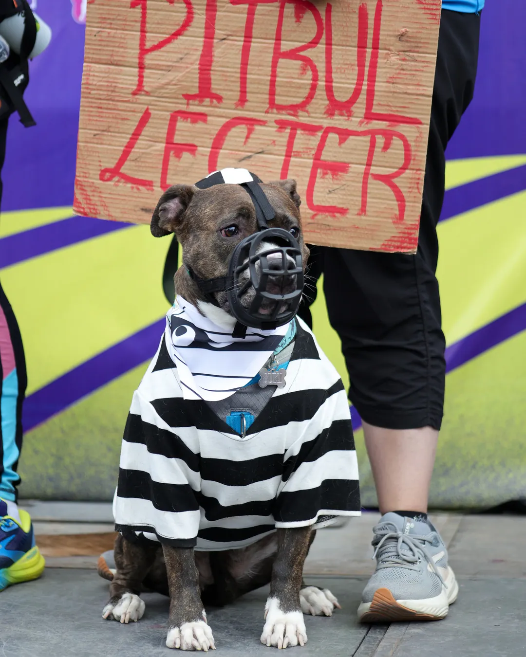 «Pitbul Lecter», concurso de disfraces