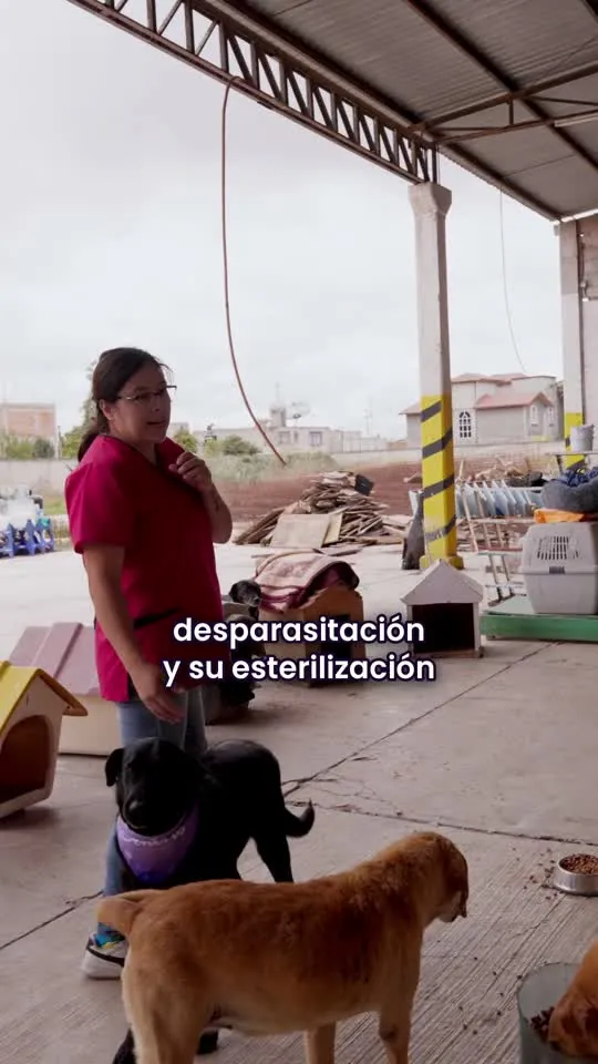 Reel · Visita al refugio